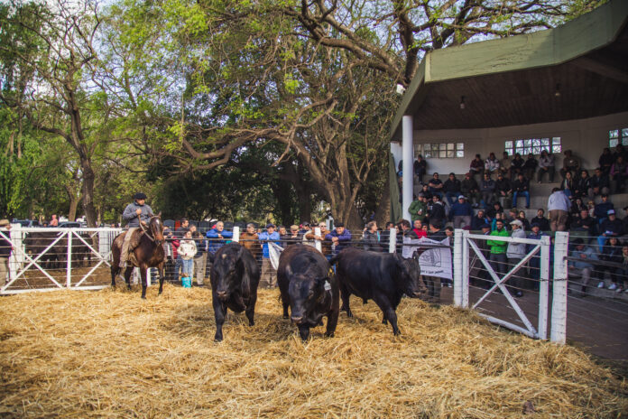 EXPO RURAL 2022 (3)