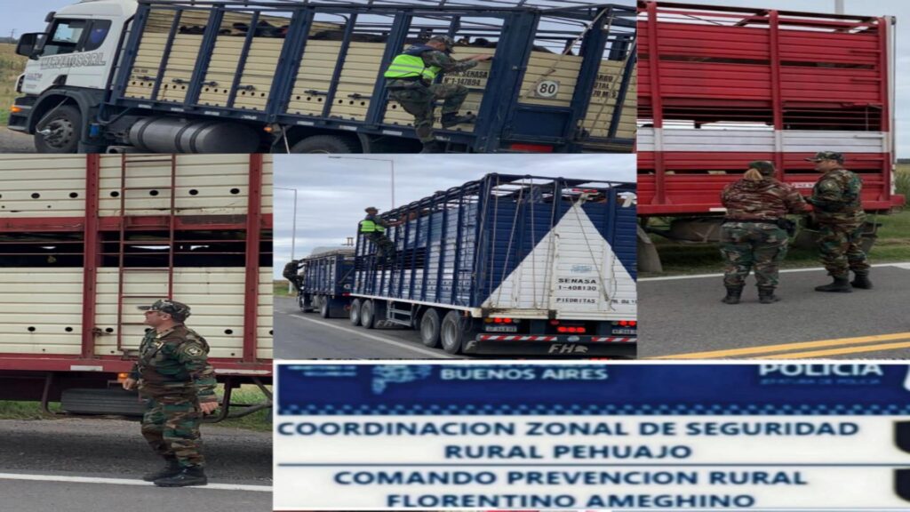 Operativo policial en Florentino Ameghino: más de 180 animales interceptados por irregularidades.