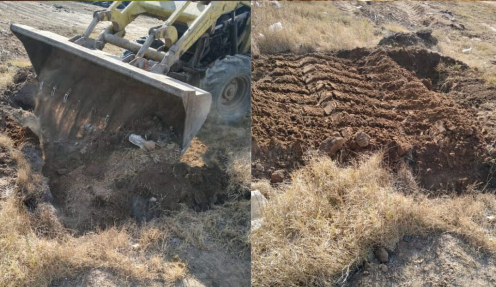 Disposicion final de la mercaderia decomisada.