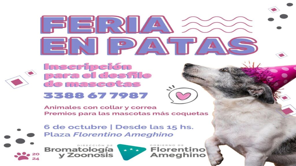 «Feria en Patas» llega a Ameghino con actividades y un desfile único para mascotas.