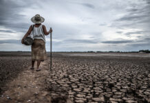 “Bancarrota hídrica” en el Día Mundial del Agua.
