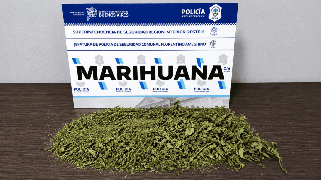 Allanamientos en Ameghino: secuestran marihuana y notifican a un hombre de 30 años por infracción a la Ley de Drogas.