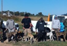Caza ilegal en Ameghino: sancionan a cuatro hombres en un campo rural.
