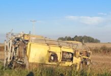 Trágico accidente en Ameghino: un hombre falleció tras el choque entre un camión y una fumigadora.