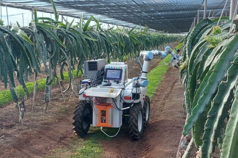 Dragonbot: El robot que revoluciona la cosecha de fruta del dragón