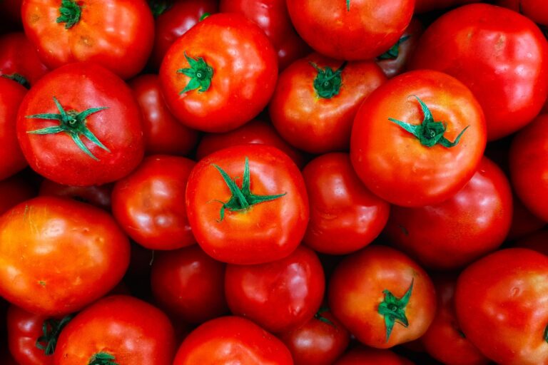 El Tomate: Un Cultivo con Potencial Transformador en la Alimentación Animal