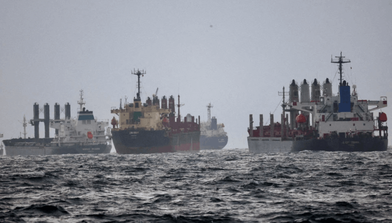 La guerra en el Mar Negro recrudece y calienta el mercado de granos: el trigo y el girasol, a la expectativa