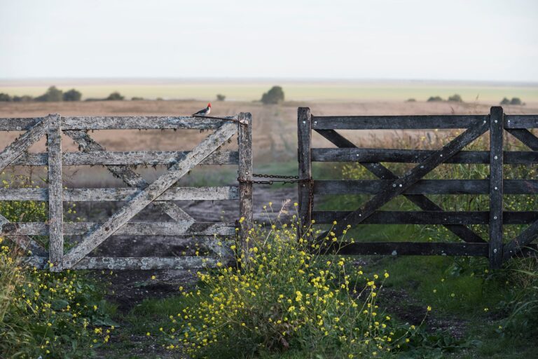 Expertos Celebran Aumento del Límite de Extranjerización de Tierras Rurales al 25%