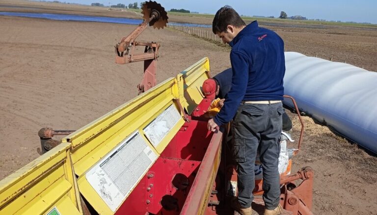 Alerta en la campaña de soja 2026/27: Deterioro de la calidad de las semillas