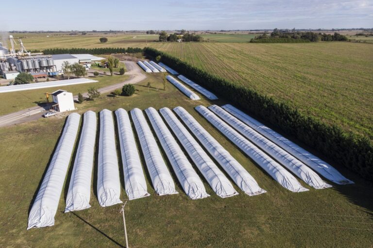 Seis Claves para el Éxito en el Agro: Más Allá de la Cosecha