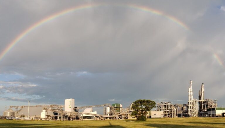 El Nuevo Proyecto de Biocombustibles: Un Impulso para la Agroindustria Argentina