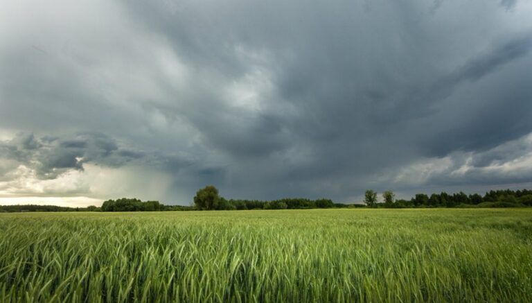 Clima Favorable para el Agro: Pronóstico del Tiempo en La Rioja