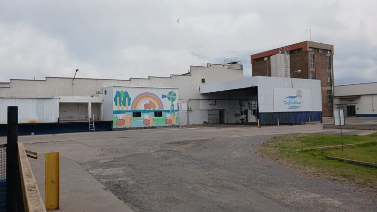 La Suipachense: de la quiebra a procesar 100.000 litros de leche diarios.