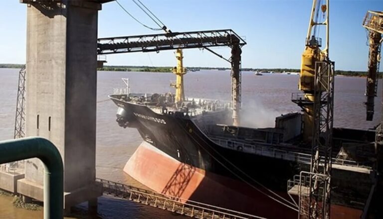 Récord de exportaciones agrícolas: el maíz argentino se consolida como el más competitivo del mundo.