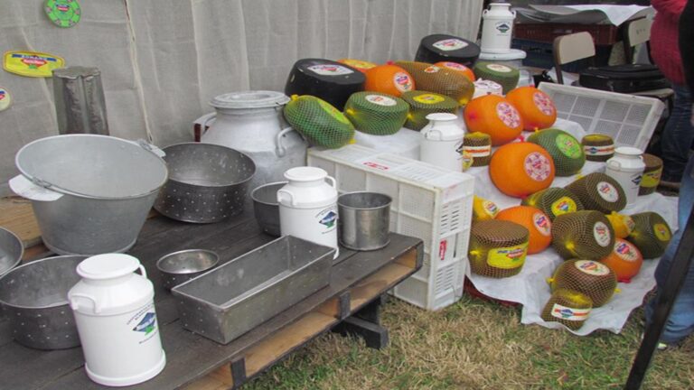 Fiesta del Queso en Blaquier: artistas locales, paseo de artesanos y cierre bailable.